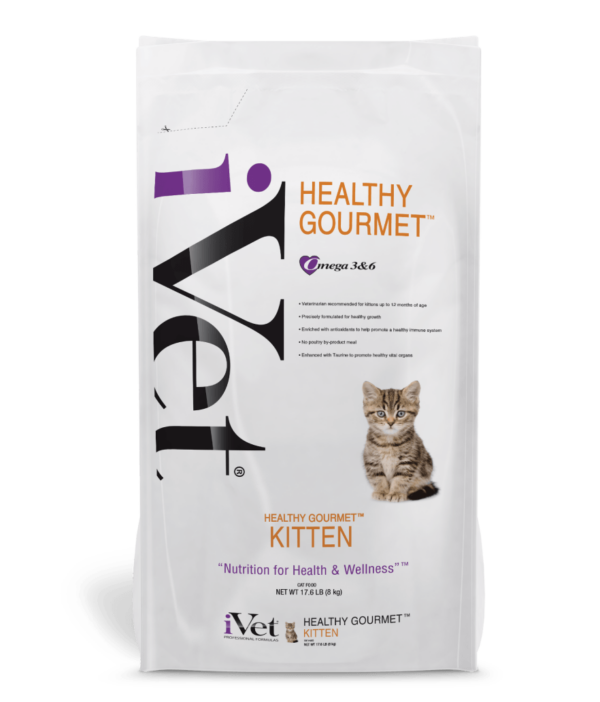 Package Shot Healthy Gourmet Feline Kitten Featured