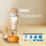 Adult Cat HPM Diet Transition