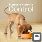 Junior Large Medium Dog HPM Appetite Control