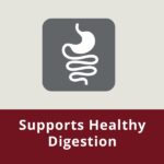 Junior Large Medium Dog HPM Healthy Digestion