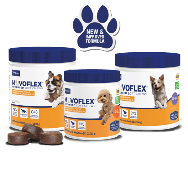Puppy Dog Food iVet