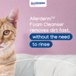 HQ_EDC_Allerderm Foam Cleanser Launch_Cat_Post_Carousel 2_2022 (1)