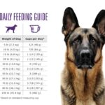 NutriCareGI_Daily-Feeding-Guide