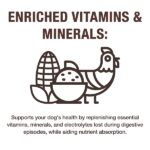 NutriCareGI_Vitamins& Minerals.Rev