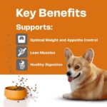 Adult Small Dog – HPM – Key Benefits