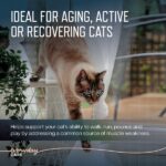 59967-11_RetailDigitalAssets_2-0_Frame4