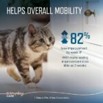 59967-11_RetailDigitalAssets_2-0_Frame5